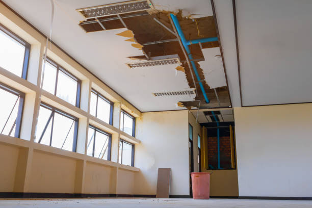 Best Water damage contractors near me  in Setauket, NY