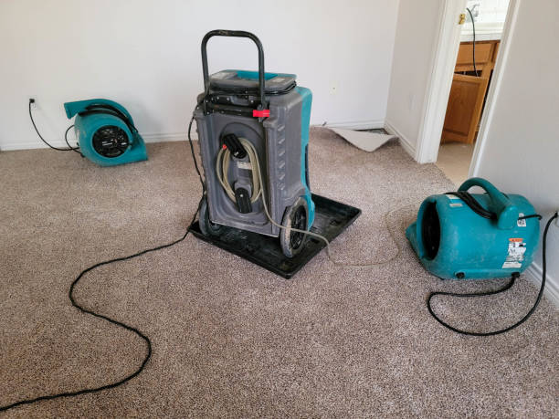 Best Mold removal after water damage  in Setauket, NY