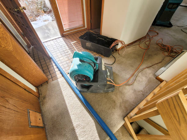 Best Water damage restoration near me  in Setauket, NY