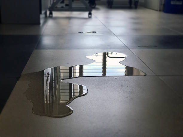 Best Water damage mitigation services  in Setauket, NY