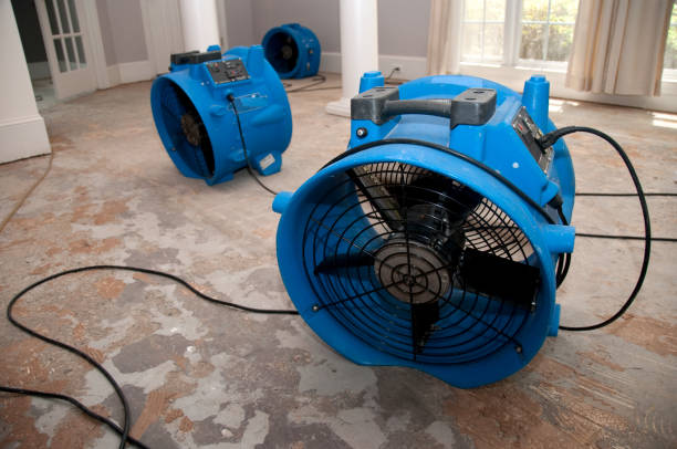 Best 24/7 water damage repair  in Setauket, NY