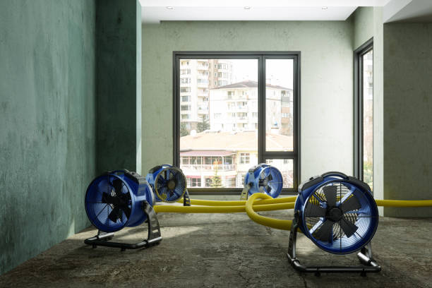 Best Ceiling water damage repair  in Setauket, NY